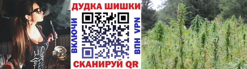Каннабис конопля  Пролетарск 